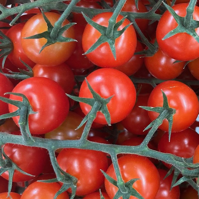 TOMATE